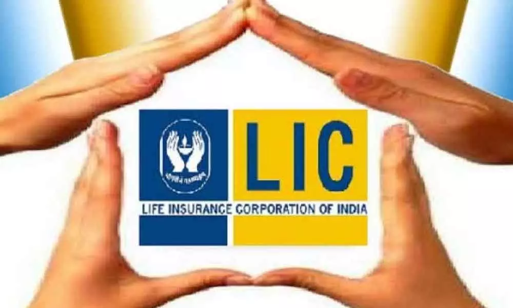 Whom did LIC select for lic-ipo