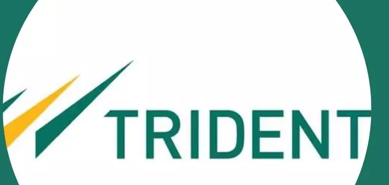 trident share price target